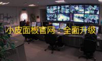 小皮面板官网
：全面升级	，精彩体验	！